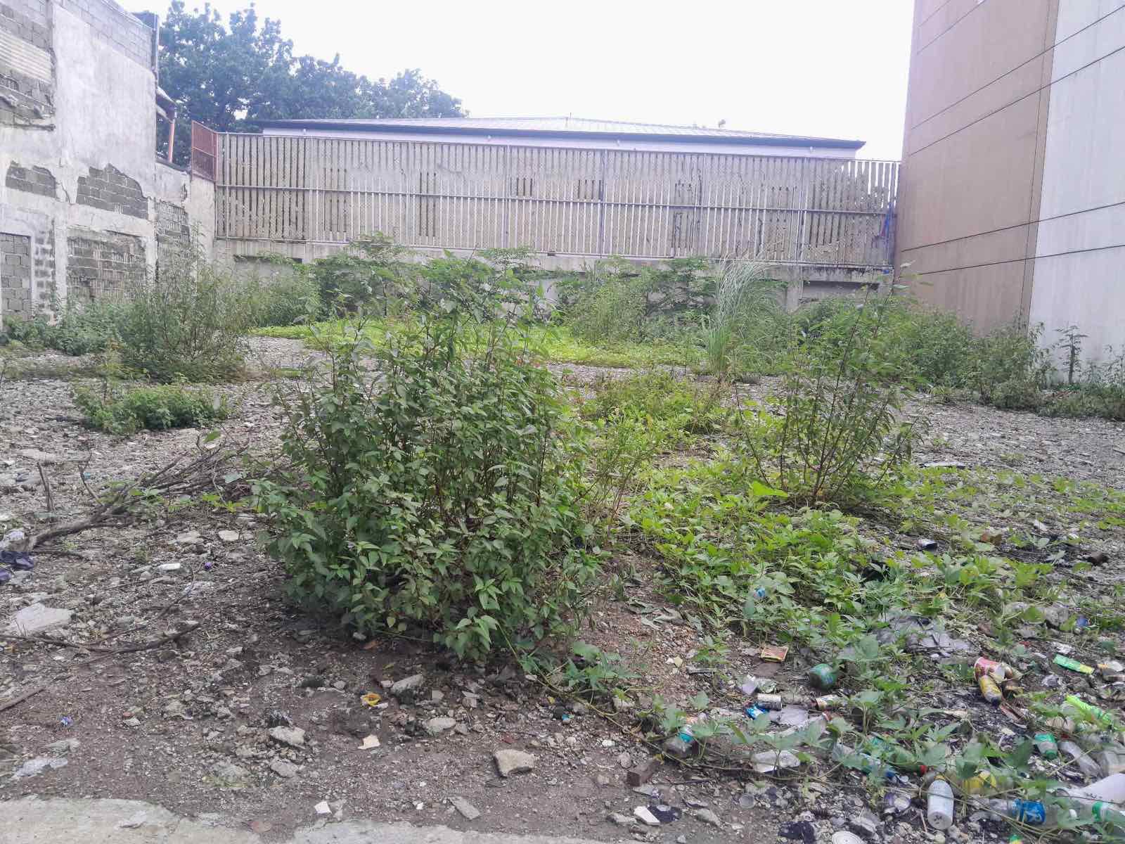 Prime Commercial Lot for Sale in San Lorenzo, Makati City
