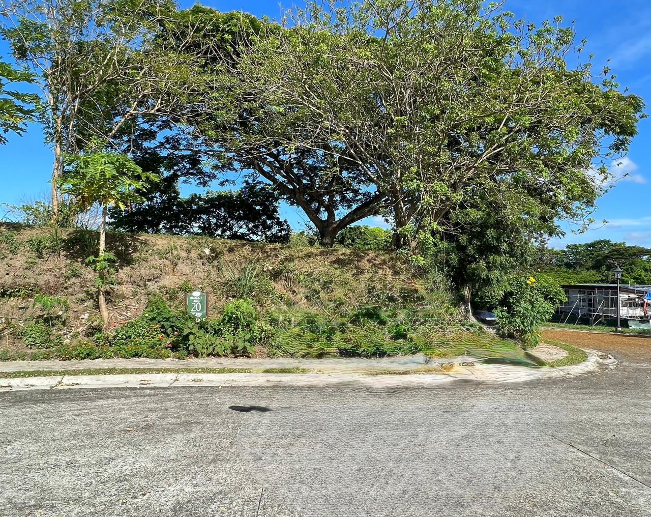Ayala Westgrove Lot 495 sqm