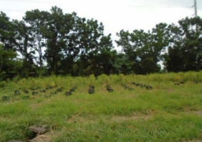 Promenade Subdivision