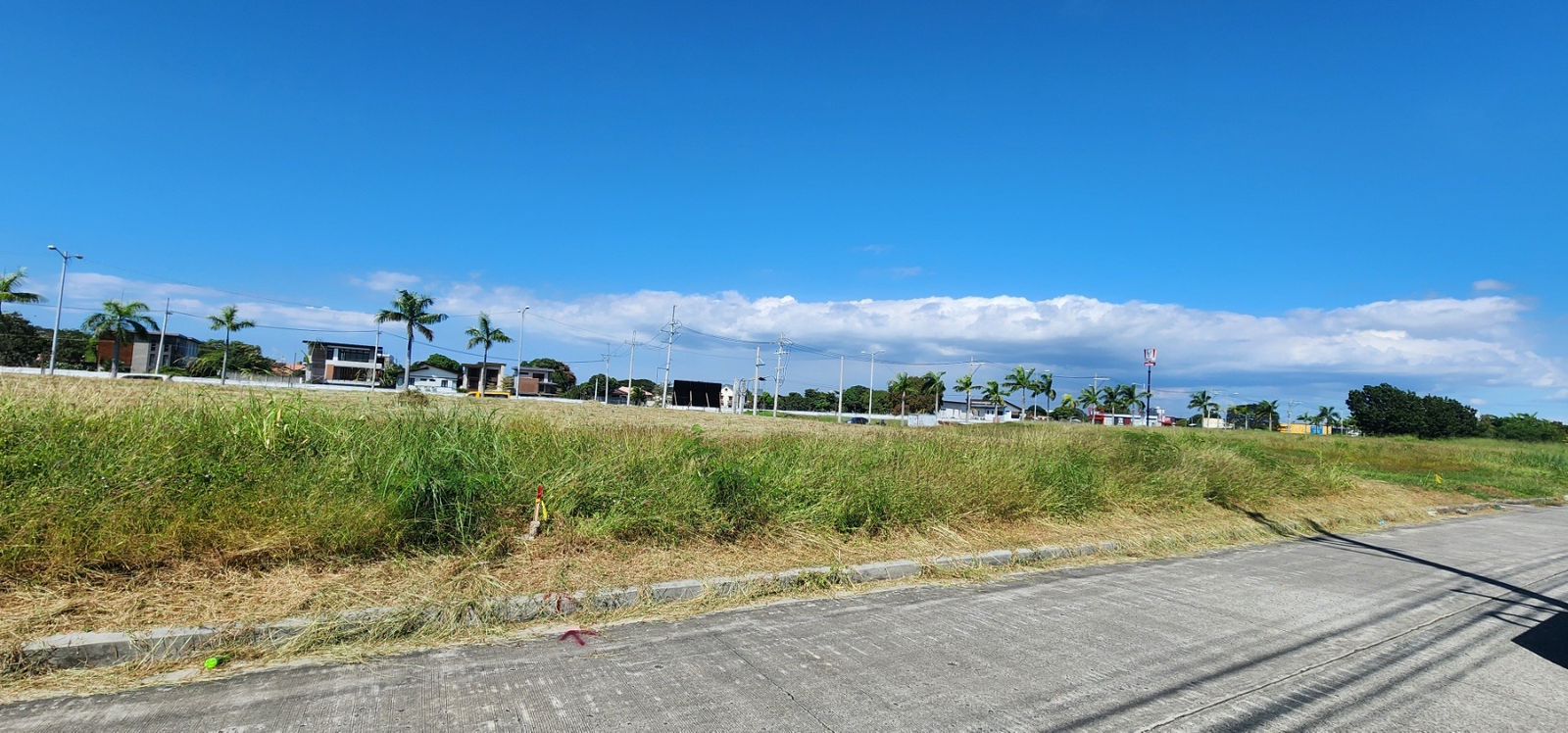 Commercial Lot in Alabang West, Las Pinas